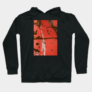 Cracked painting texture 3 Hoodie